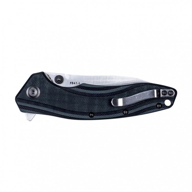 Ruike P841-L