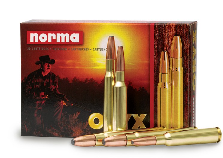 Norma .300 Win Nosler Ballistic Tip