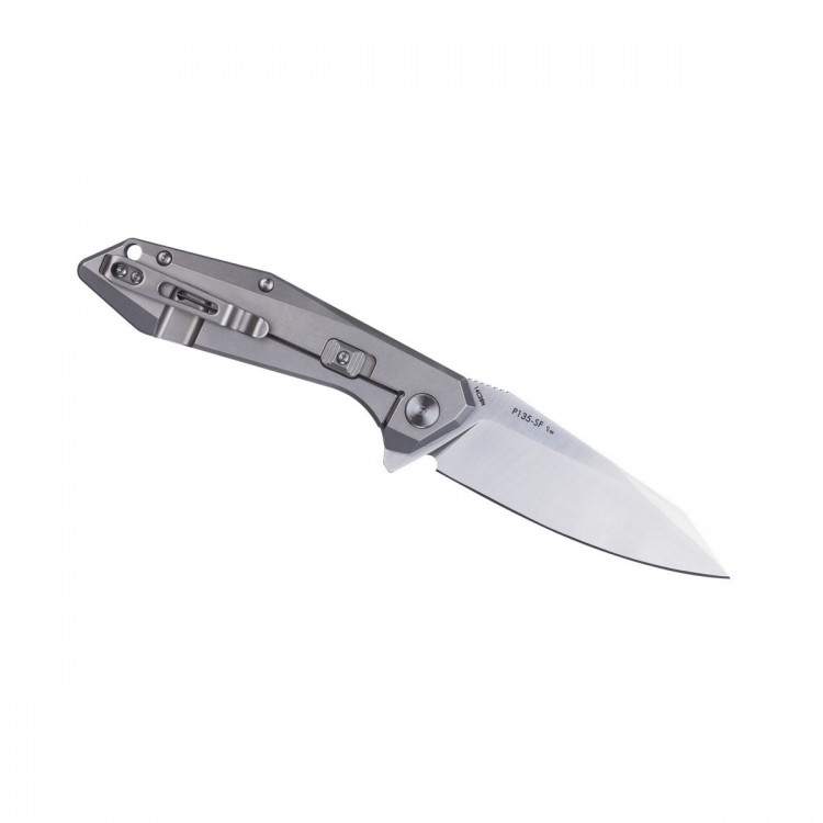 Ruike P135-SF