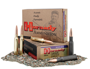 Hornady Dangerous Game 7.62 x 54 BTHP 11.3 / 174gr